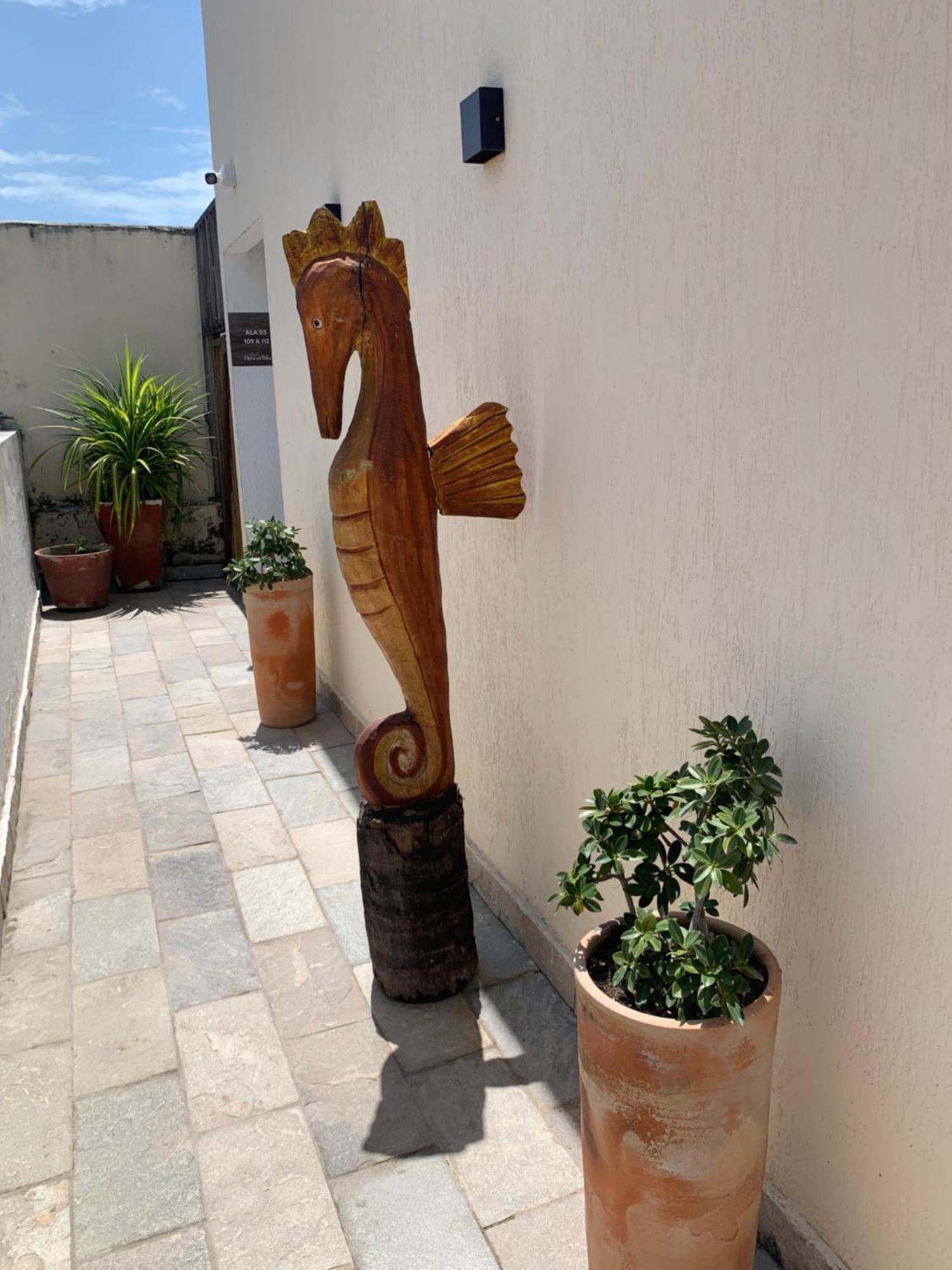 Villa Peixe Na Telha Pôrto das Galinhas エクステリア 写真