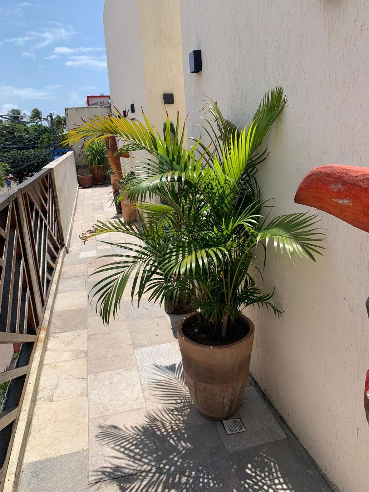 Villa Peixe Na Telha Pôrto das Galinhas エクステリア 写真